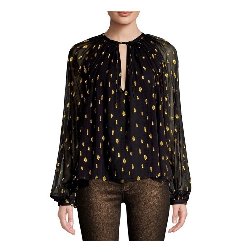 Frame sheer blouse